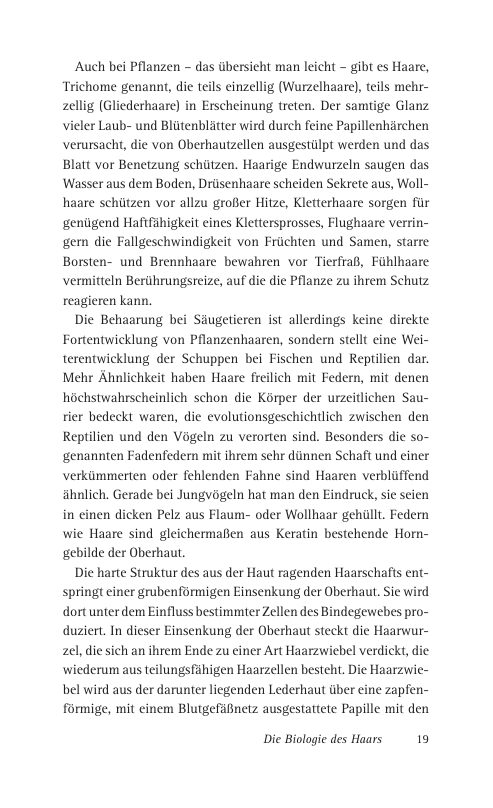 Seite 19 der Leseprobe
