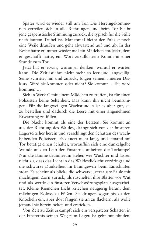 Seite 29 der Leseprobe