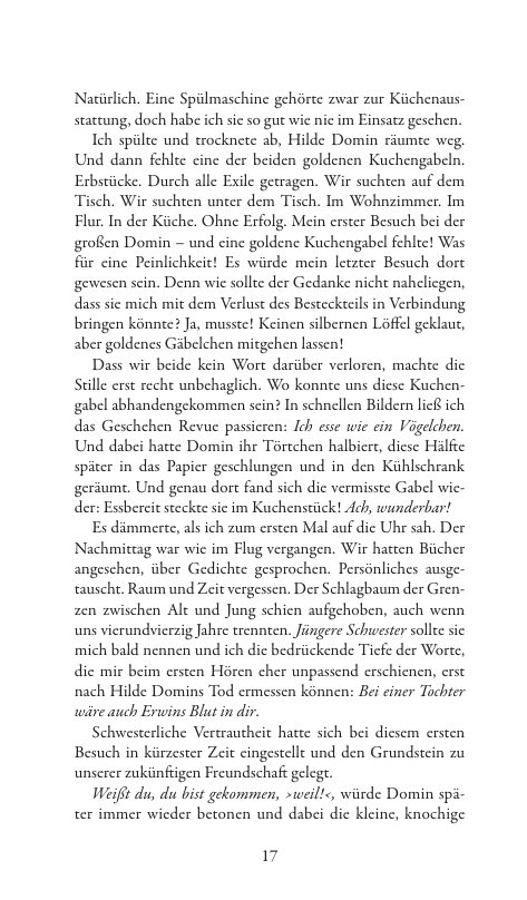 Seite 17 der Leseprobe