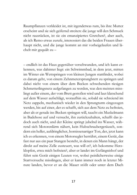 Seite 17 der Leseprobe