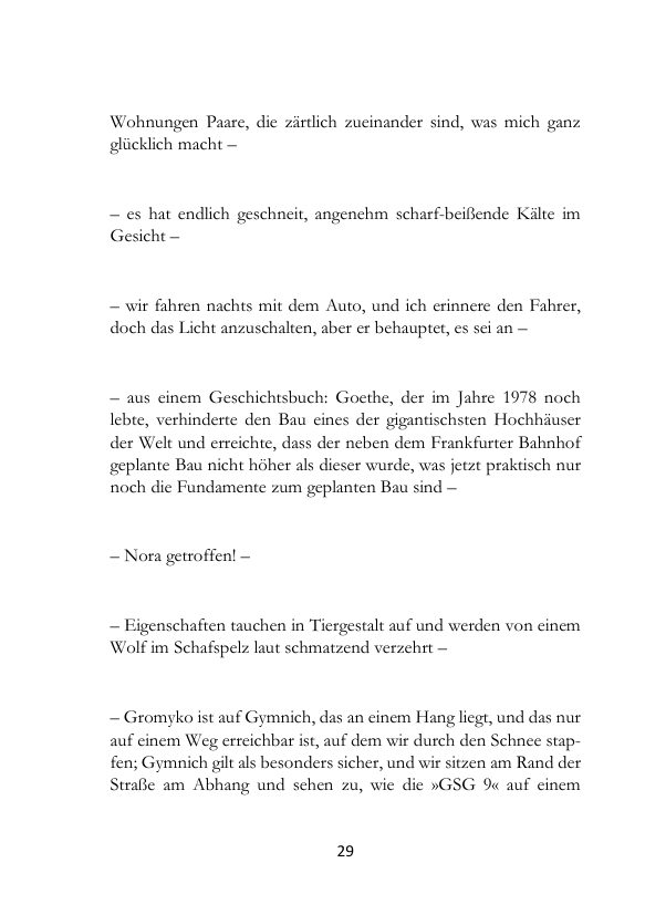 Seite 29 der Leseprobe