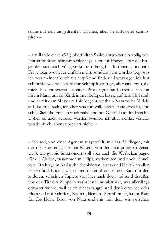 Seite 29 der Leseprobe