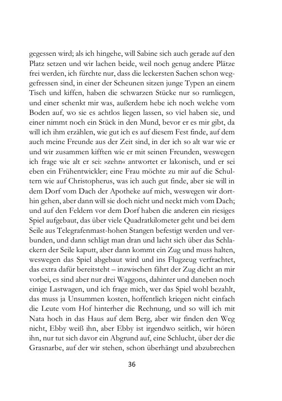 Seite 36 der Leseprobe