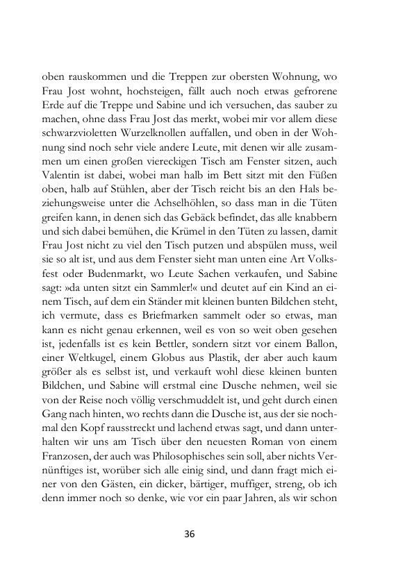 Seite 36 der Leseprobe