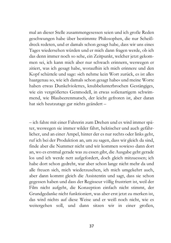 Seite 37 der Leseprobe