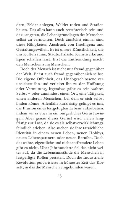 Seite 13 der Leseprobe