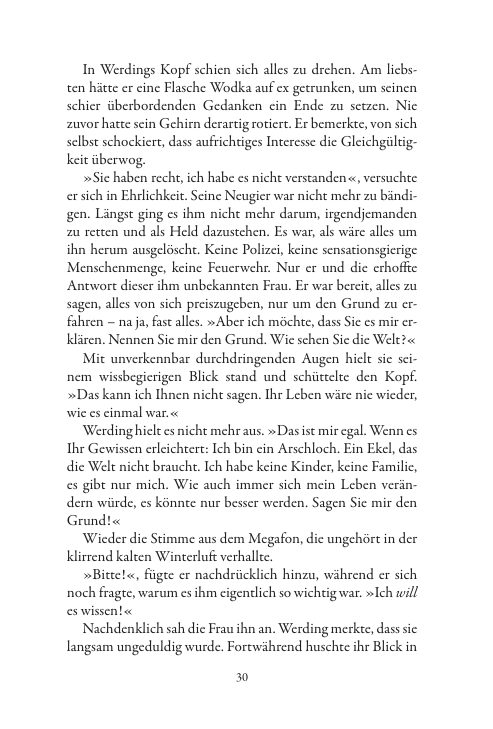 Seite 31 der Leseprobe