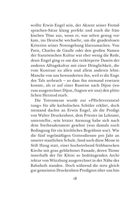 Seite 19 der Leseprobe
