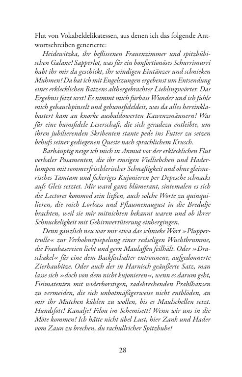 Seite 29 der Leseprobe