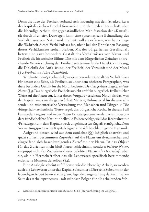Seite 13 der Leseprobe