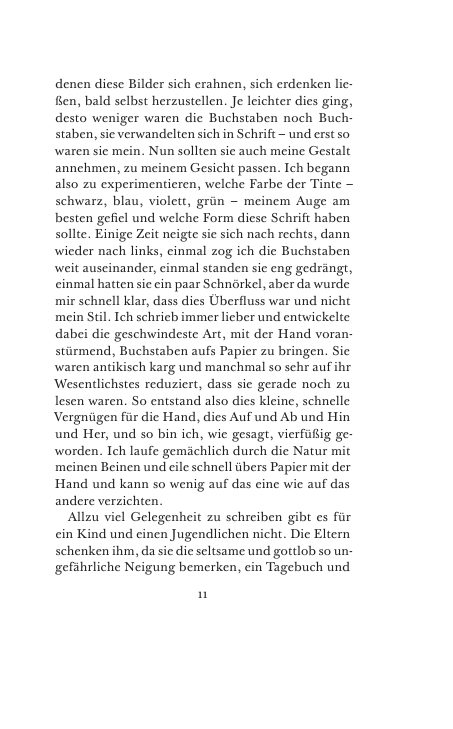 Seite 11 der Leseprobe
