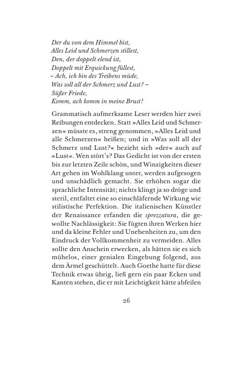 Seite 26 der Leseprobe