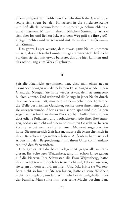 Seite 29 der Leseprobe