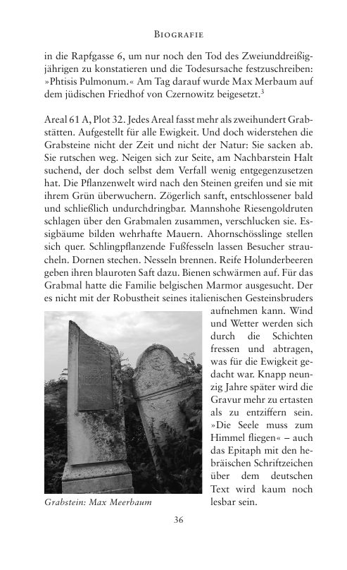 Seite 36 der Leseprobe