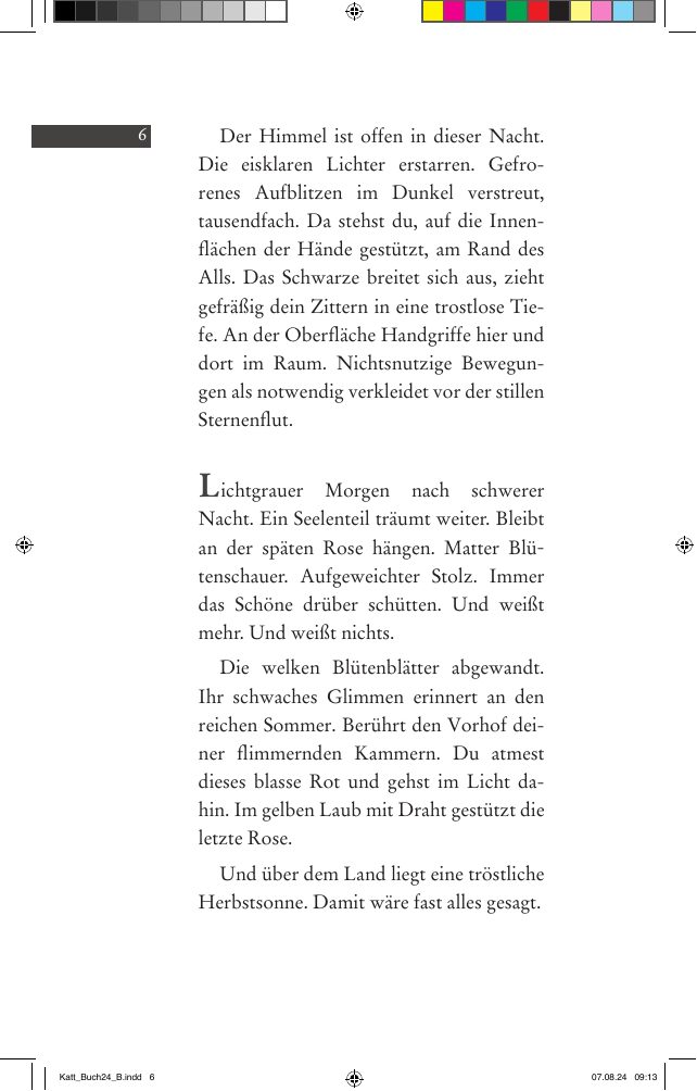 Seite 6 der Leseprobe