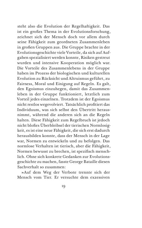 Seite 19 der Leseprobe