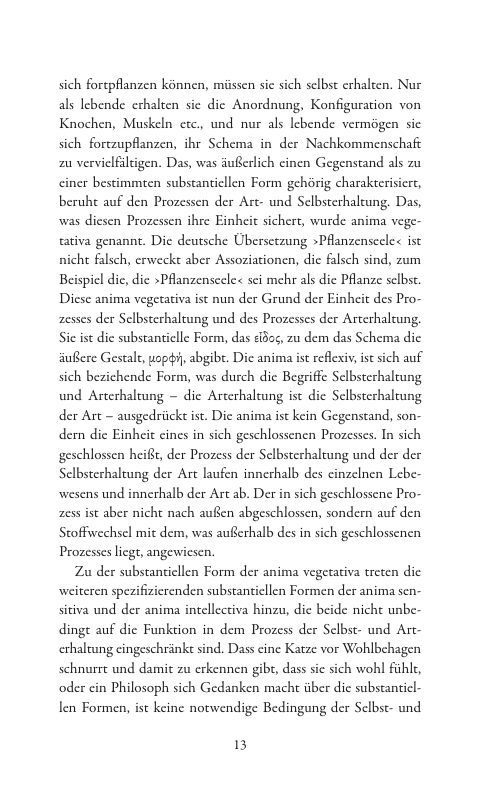Seite 13 der Leseprobe