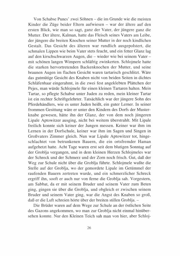 Seite 26 der Leseprobe