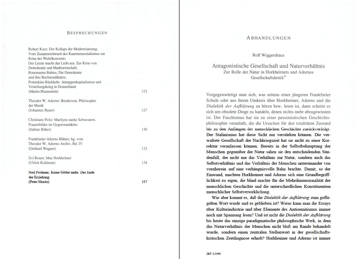 Blick ins Buch zu Zeitschrift für kritische Theorie / Zeitschrift für kritische Theorie, Heft 3 (1996)