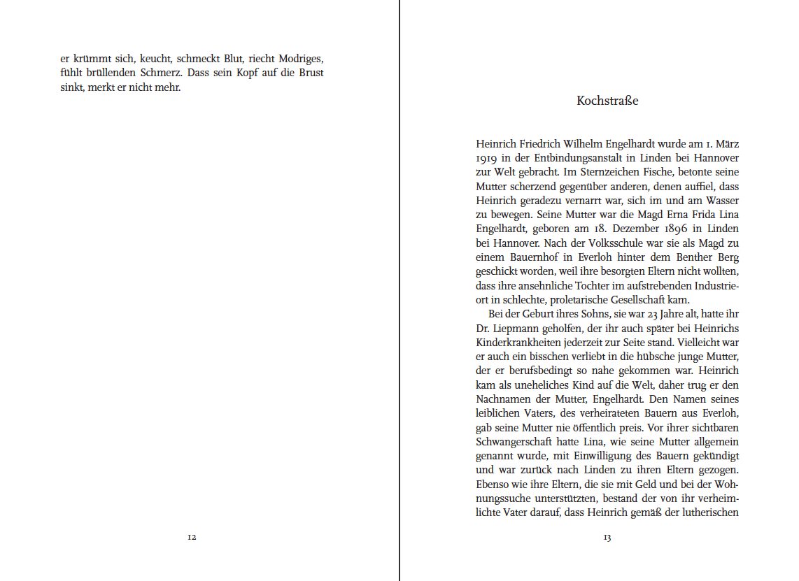Blick ins Buch zu Kein Besonderer