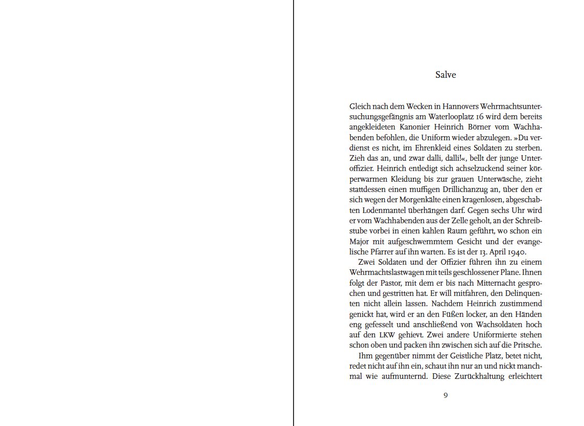 Blick ins Buch zu Kein Besonderer