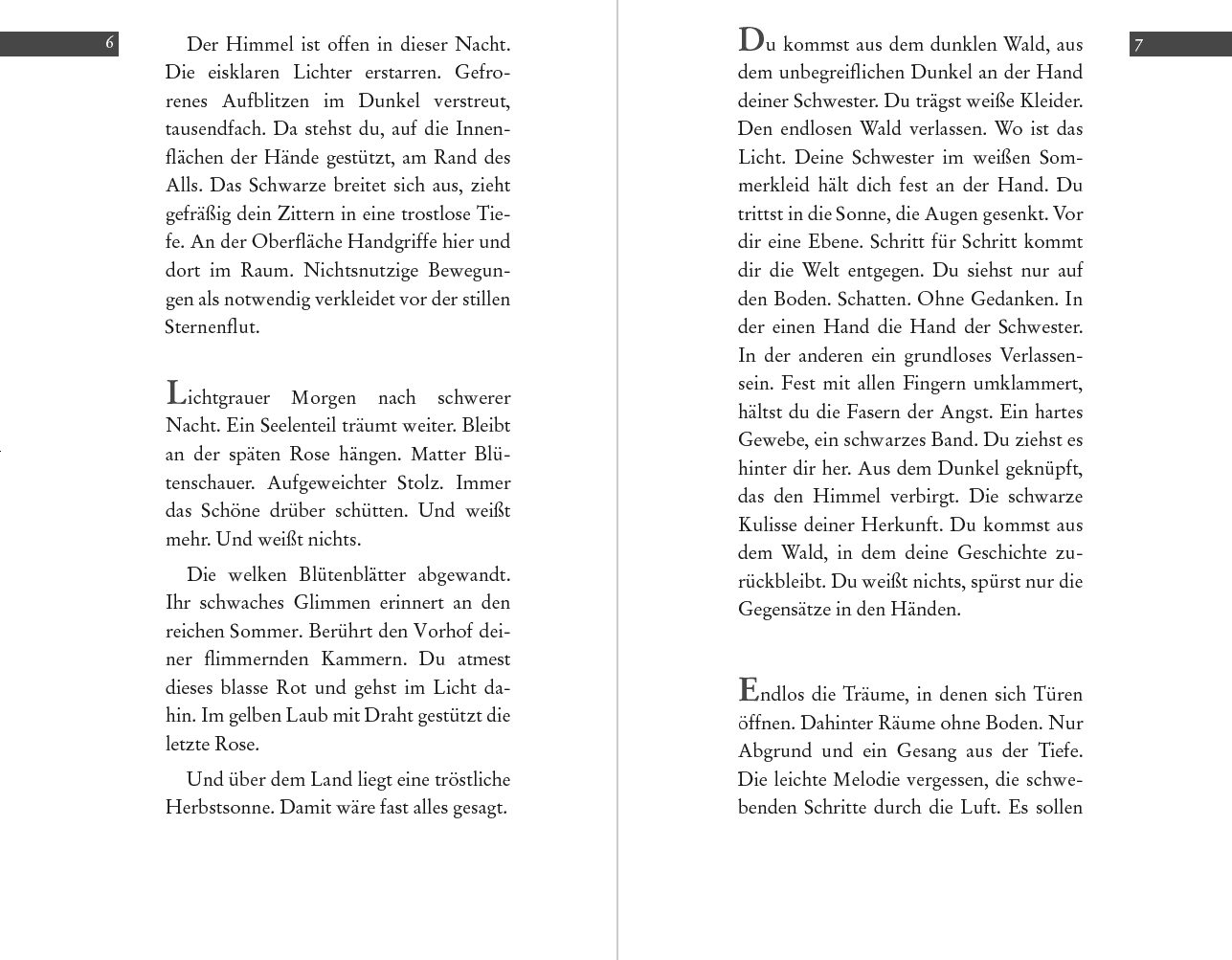 Blick ins Buch zu Gespräch mit dem gesammelten Du