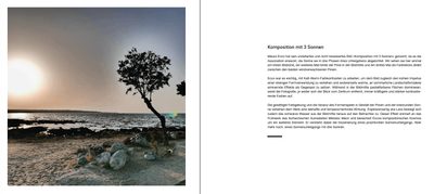Blick ins Buch zu Im Dickicht der Sichtachsen