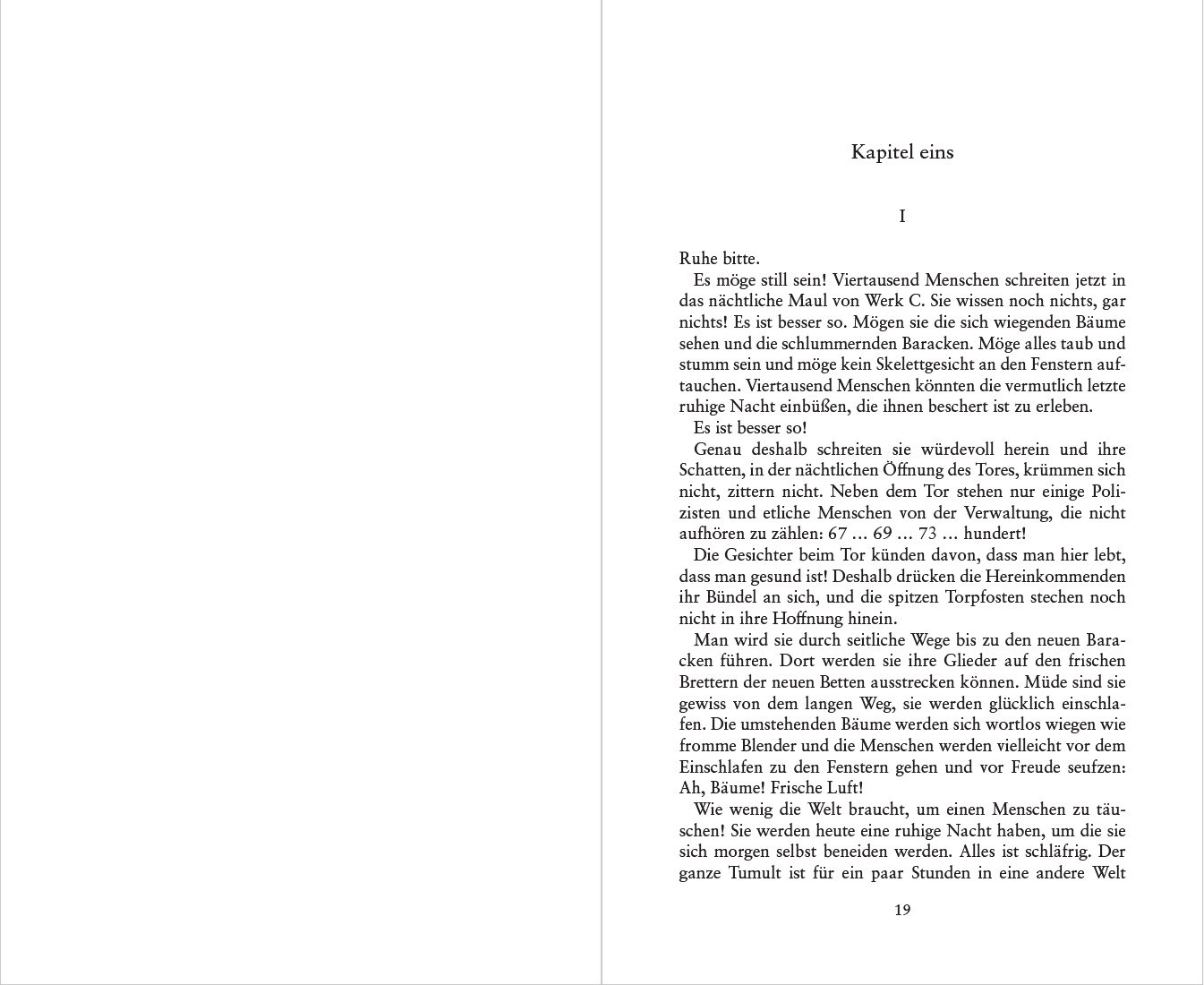 Blick ins Buch zu Schicksale