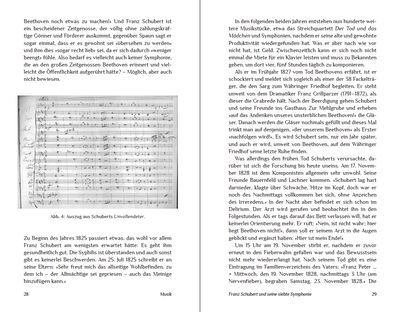 Blick ins Buch zu Die Unvollendeten