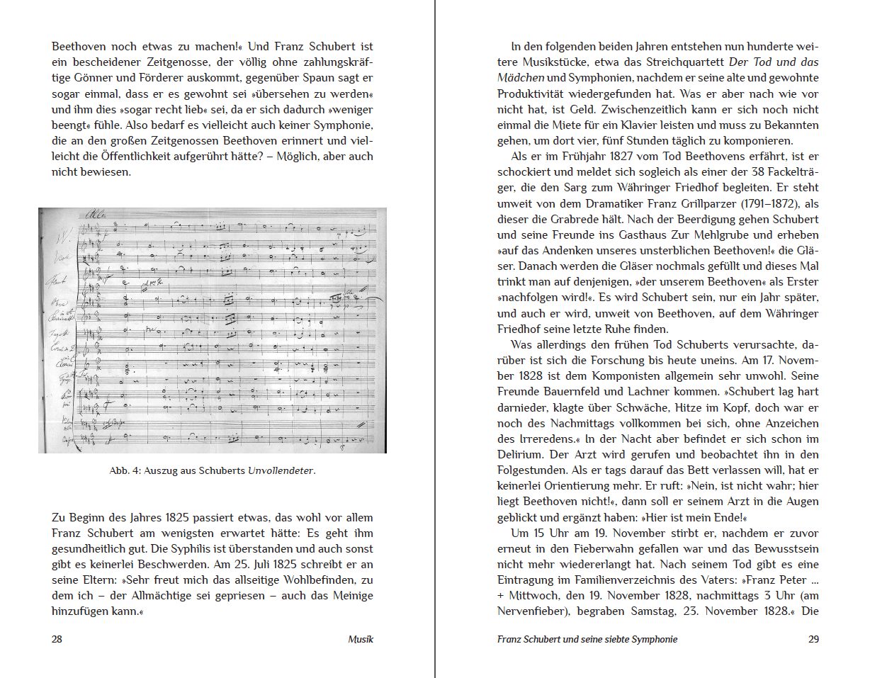 Blick ins Buch zu Die Unvollendeten
