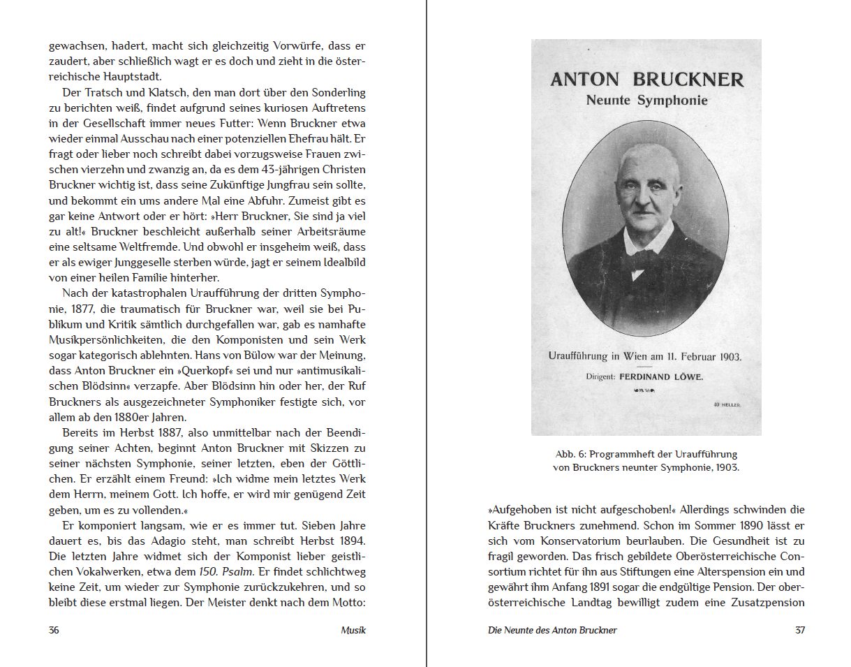 Blick ins Buch zu Die Unvollendeten