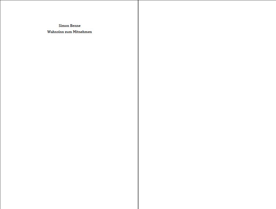 Blick ins Buch zu Wahnsinn zum Mitnehmen