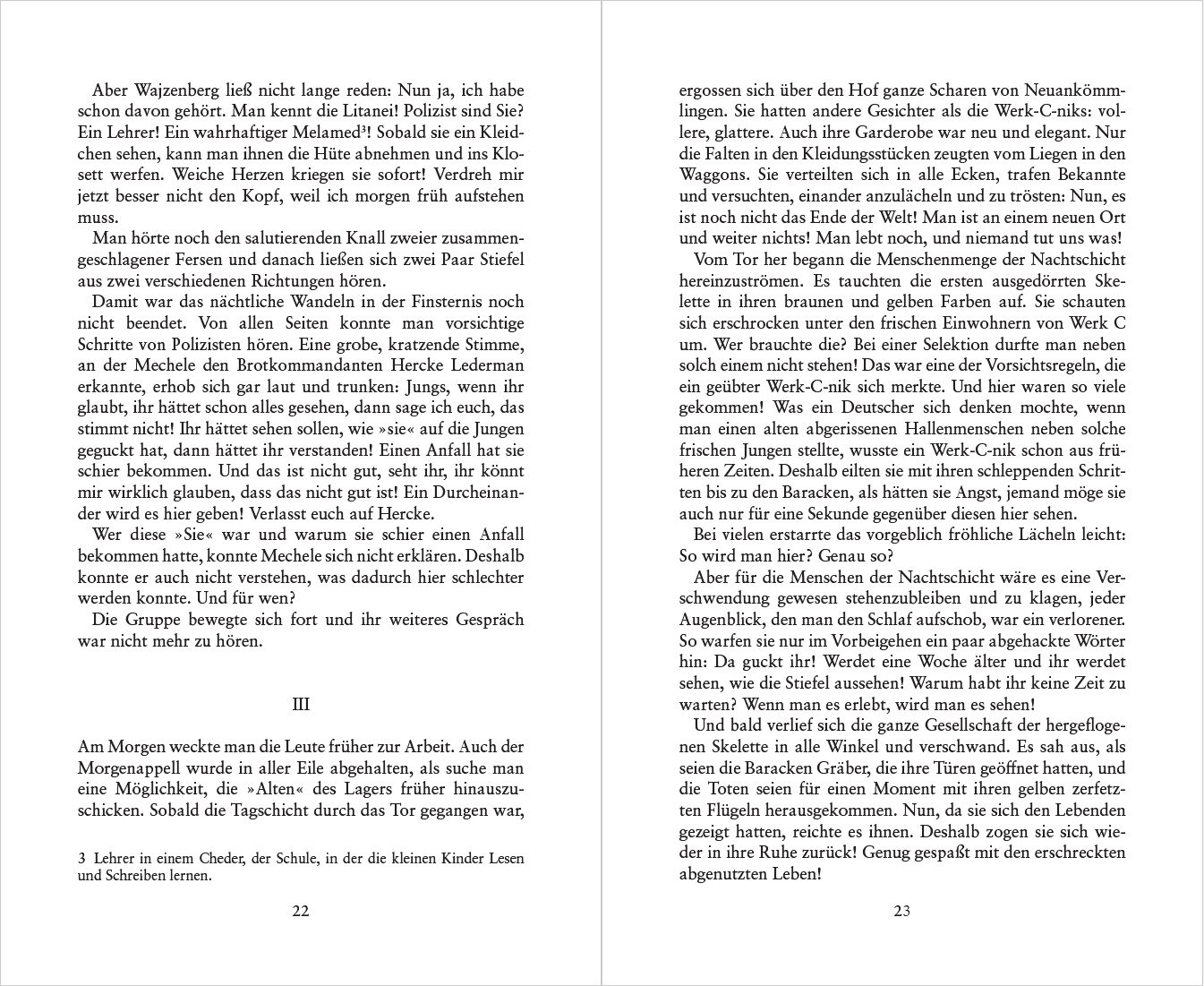 Blick ins Buch zu Schicksale