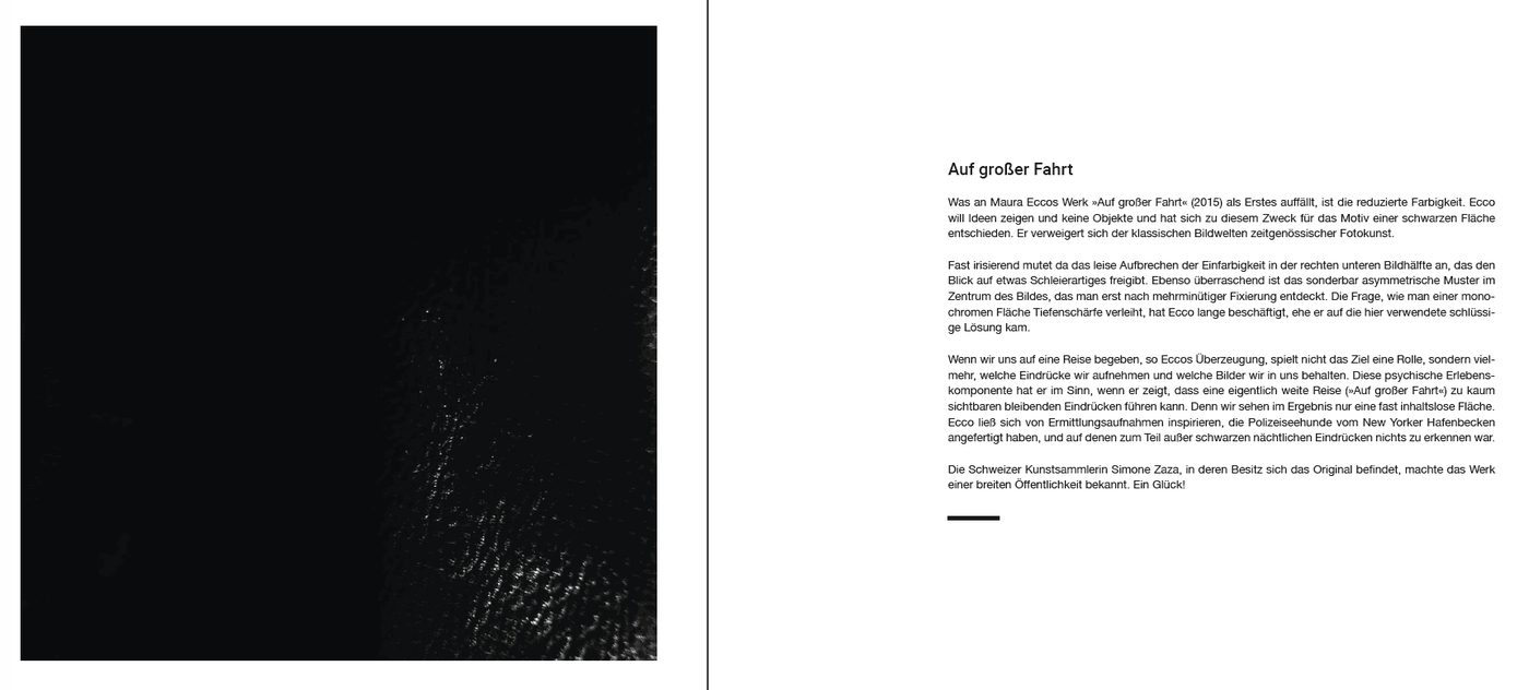 Blick ins Buch zu Im Dickicht der Sichtachsen